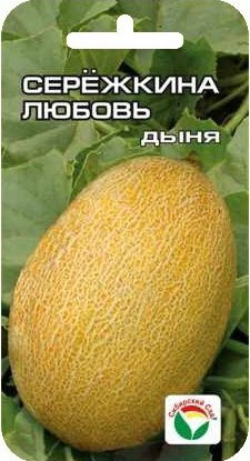 Семена Дыня Сережкина любовь 5шт (Сиб сад)