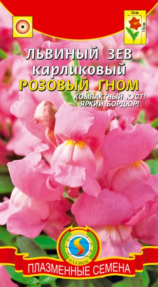 Семена Львиный зев карликовый Розовый гном ПЛ