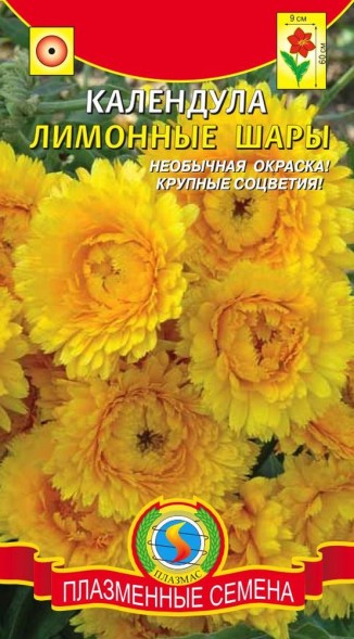 Семена Календула Лимонные шары ПЛ