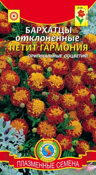 Семена Бархатцы отклоненные Петит Гармония ПЛ