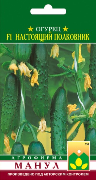Семена Огурец Настоящий полковник F1 (Манул)