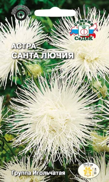 Семена Астра Санта Лючия (СеДеК)