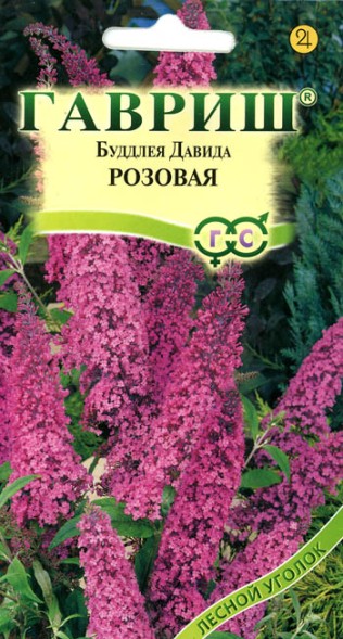 Семена Буддлея Давида видовая розовая (Гавриш)