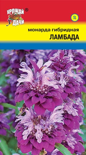Семена Монарда гибридная Ламбада УУД