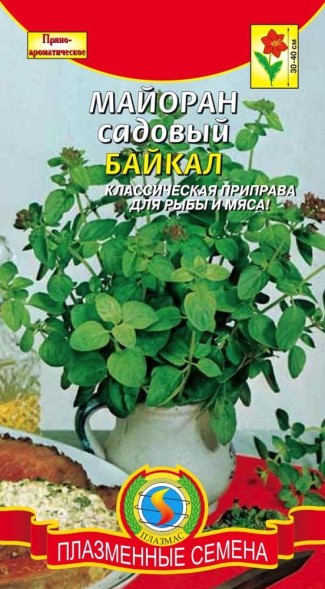 Семена Майоран садовый Байкал  ПЛ