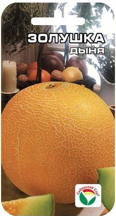 Семена Дыня Золушка (Сиб сад)