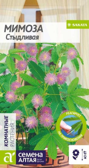 Семена Мимоза Стыдливая (Семена Алтая)