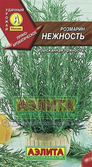 Семена Розмарин Нежность (Аэлита)