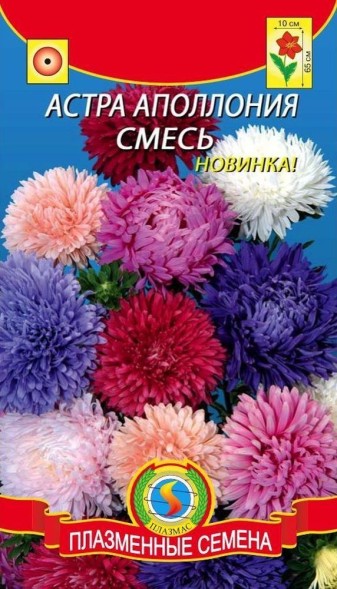 Семена Астра Аполлония (смесь) ПЛ
