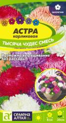 Астра карликовая Тысяча чудес смесь (Семена Алтая)