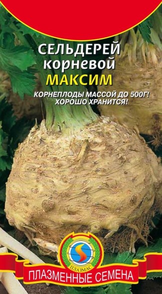 Семена Сельдерей Корневой Максим ПЛ