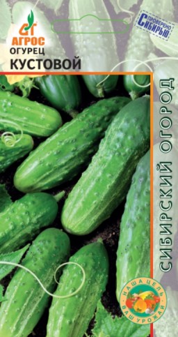 Огурец Кустовой (Агрос) Огурец Кустовой (Агрос)