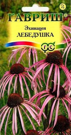 Семена Эхинацея Лебедушка (Гавриш)