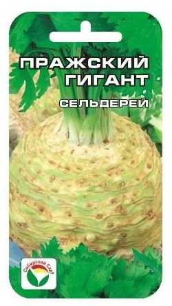 Семена Сельдерей корневой Пражский гигант (Сиб сад)