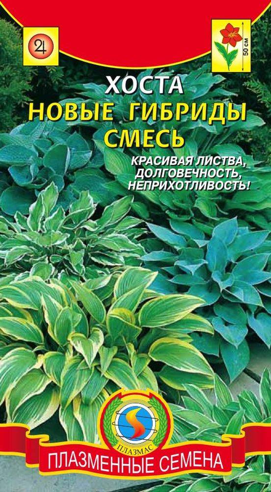 Купить Семена Хосты В Интернет Магазине