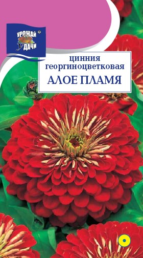 Семена Цинния георгиноцветковая Алое Пламя УУД