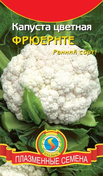 Семена Капуста цветная Фрюернте ПЛ