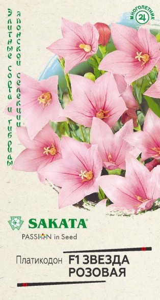 Семена Платикодон (Ширококолокольчик) Звезда розовая F1 крупноцветковый (Гавриш)