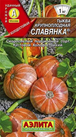 Тыква Славянка крупноплодная (Аэлита)