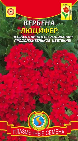 Семена Вербена Люцифер ПЛ