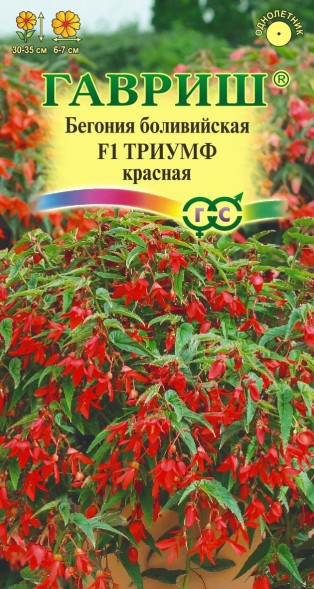 Семена Бегония Триумф красный боливийская F1 (Гавриш)
