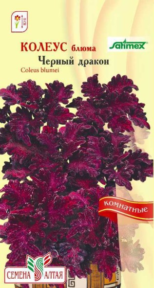 Семена Колеус Черный Дракон (Семена Алтая)
