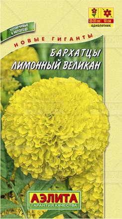 Бархатцы прямостоячие Саншайн (Гавриш)