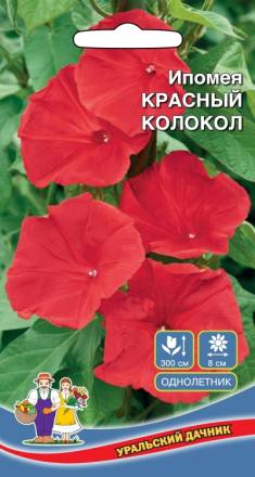 Ипомея Красный Колокол УД