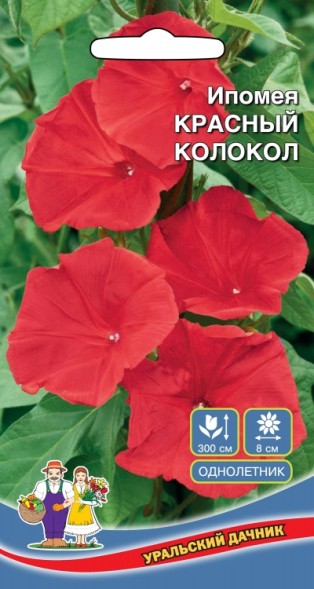 Семена Цветы Ипомея Красный Колокол УД