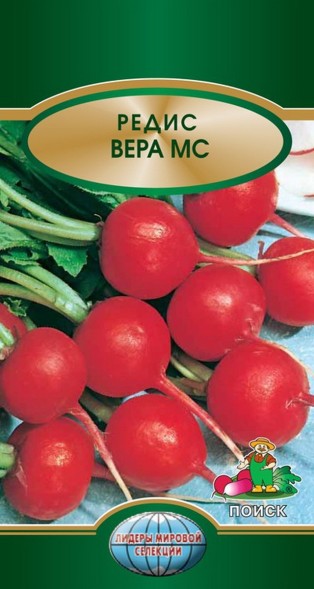 Семена Редис Вера МС (Поиск)