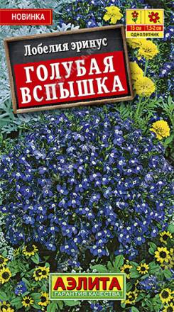 Тимьян (чабрец) Богородская трава  (Аэлита)