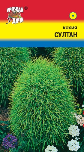 Семена Кохия Султан УУД