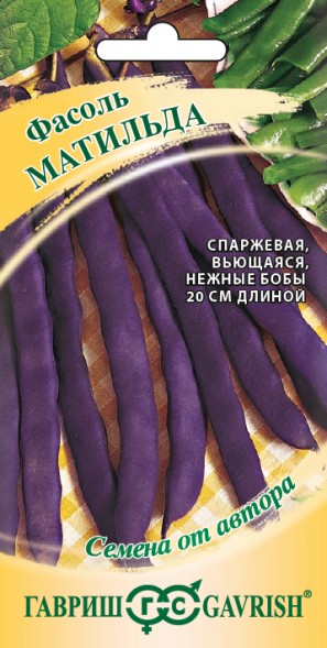 Семена Фасоль Матильда фиолетовая вьющаяся спаржевая (Гавриш)