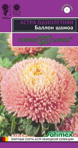 Семена Астра Баллон Шамоа густомахровая (Гавриш)