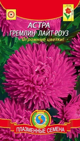 Семена Астра Гремлин лайт-роуз ПЛ