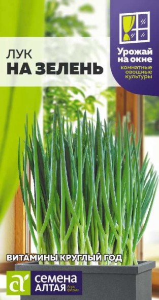 Семена Лук на Зелень (Семена Алтая)