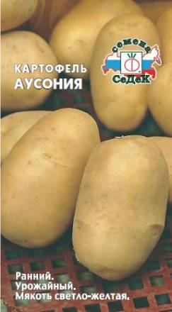Картофель Аусония (СеДеК)