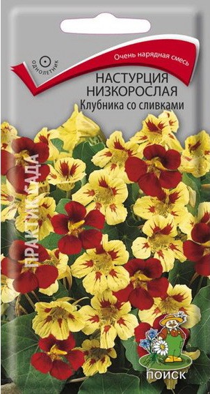 Семена Настурция Клубника со сливами (Поиск)