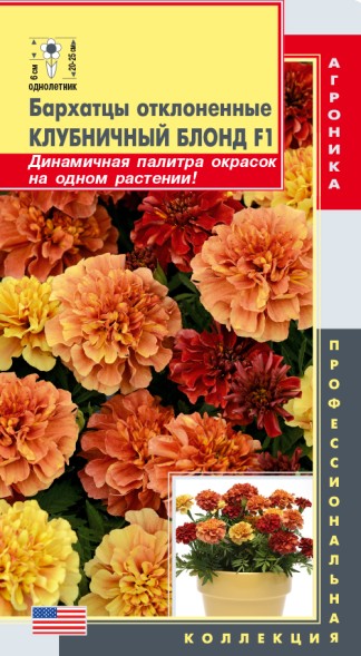Семена Бархатцы отклоненные Клубничный Блонд F1 ПЛ