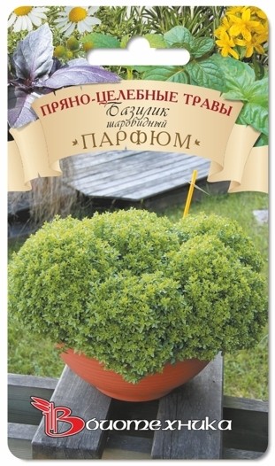 Семена Базилик парфюм Шаровидный (Биотехника)