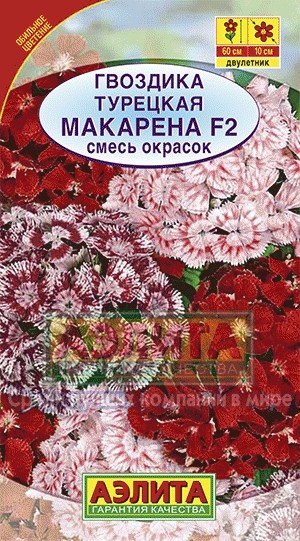 Семена Гвоздика Макарена F2 турецкая (Аэлита)  
