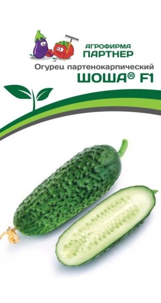 Семена Огурец ШОША F1 (Партнер)