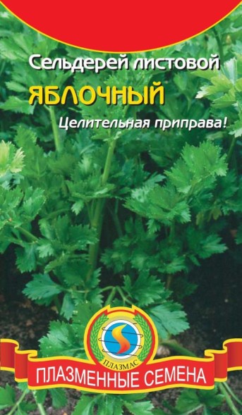 Семена Сельдерей листовой Яблочный ПЛ