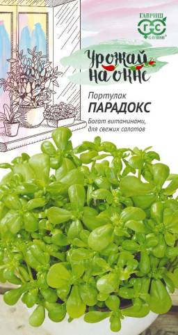 Портулак овощной Парадокс (Гавриш) Портулак овощной Парадокс (Гавриш)