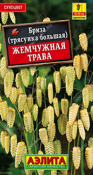 Семена Бриза Жемчужная трава (Аэлита)