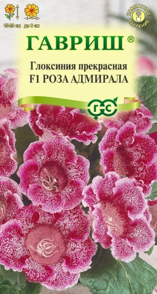 Семена Глоксиния Роза Адмирала прекрасная F1 (Гавриш)