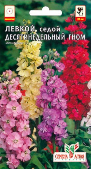 Семена Левкой Десятинедельный Гном седой  (Семена Алтая)