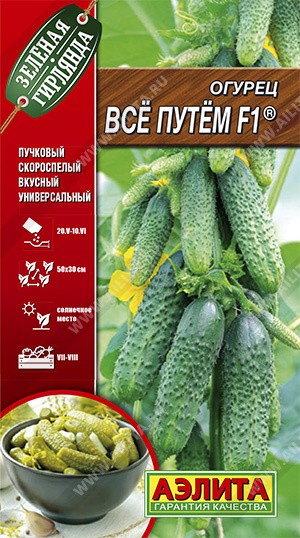 Семена Огурец Все путем (Аэлита)