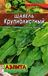 Щавель Крупнолистный (Аэлита)