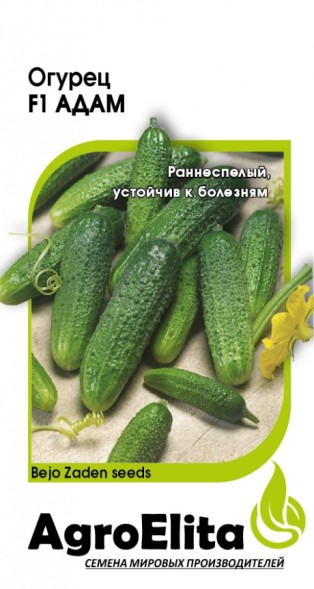 Семена Огурец Адам F1 (АгроЭлита)